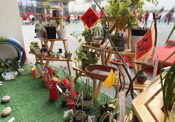 園區(qū)一角，各式裝扮凸顯年味。晏紅霞攝