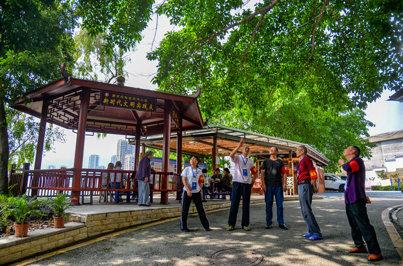 萬(wàn)州區(qū)周家壩街道燕灣小區(qū)，樓棟長(zhǎng)們正攜手共治小區(qū)。付作僑攝