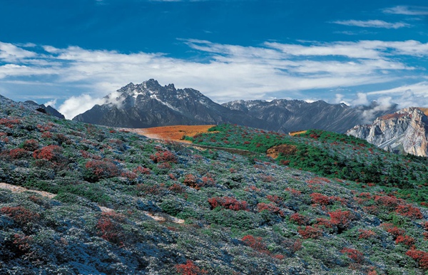 九鼎山風(fēng)光。茂縣文化體育和旅游局供圖