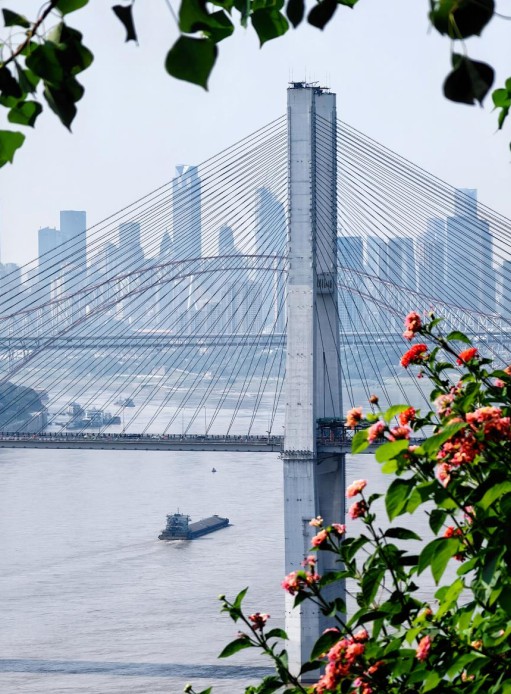 長江序觀江視野實景。中國綠發(fā)重慶公司供圖 華龍網(wǎng)發(fā)（拍攝時間2023年12月）