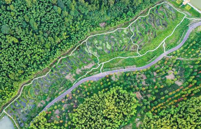 									竹山深處有“寶地”					山中人，最曉季節(jié)更替，一股子冷風吹散了村頭閑坐的村民?！跋蚂F了，做飯咯?！敝貞c梁平區(qū)竹山鎮(zhèn)獵神村4組村民鄭一瓊手里攥了把瓜子皮，全部扔進垃圾箱后，又檢查了一道腳邊有沒有遺漏，才放心地回家?！袄掀抛游?8歲了，村里啥樣我沒見過？”談及村里的變化，鄭一瓊連說了幾聲好。好在哪里？“路干凈了，房干凈了，人心暖了?！?#13;				