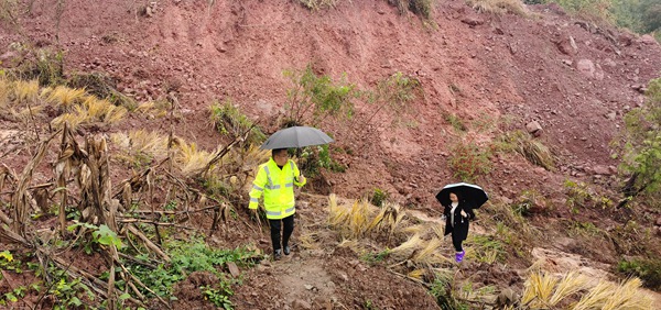 《守護者》（組圖）三。圖為11月9日，銅鼓鎮(zhèn)片區(qū)負責(zé)人趙祖群和水流村群測群防員王安然在兌窩子坪滑坡中心區(qū)域進行排查，持續(xù)監(jiān)測地災(zāi)隱患點，防止次生災(zāi)害發(fā)生。劉勇攝