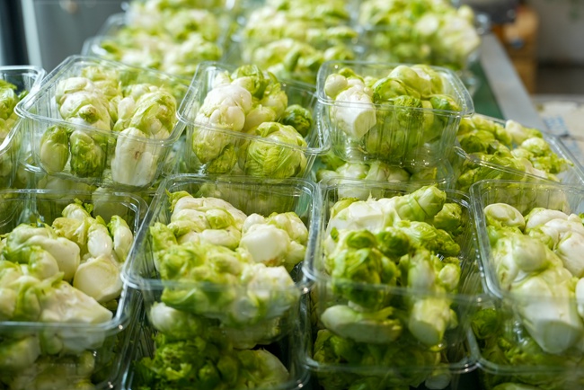 									從田間到餐桌，一顆兒菜的旅程					1月30日，重慶璧山區(qū)丁家街道黃家坡，一顆兒菜被一雙大手砍下放進了背簍里。這一天，它要離開“主人”——種植戶鄒利，開啟它的餐桌之旅。眼下，正是川渝特色蔬菜——兒菜上市的季節(jié)，今年，擁有國家地理標志商標的“璧山兒菜”迎來豐收。				