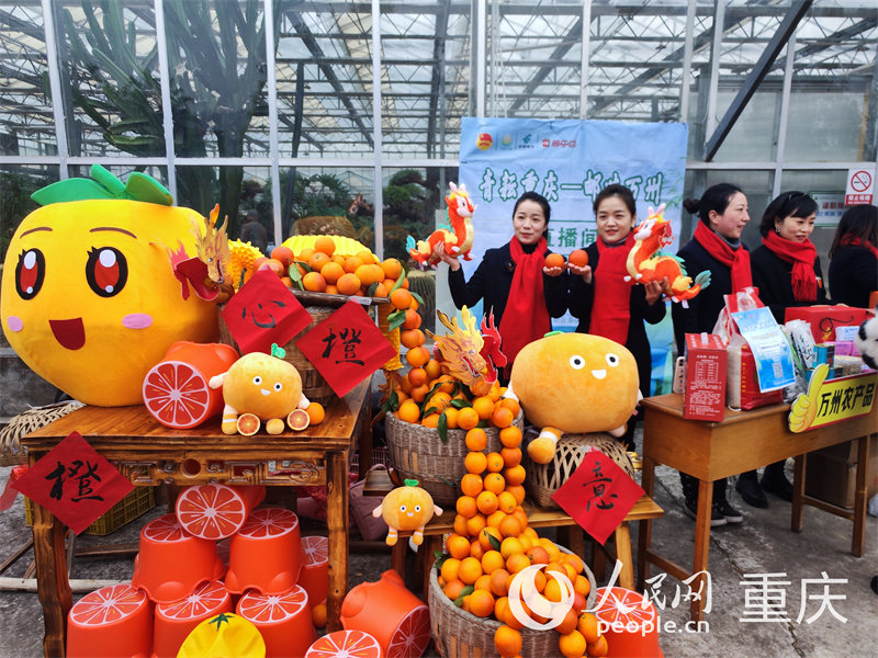 工作人員助力甘寧玫瑰香橙銷售。人民網(wǎng) 陳琦攝