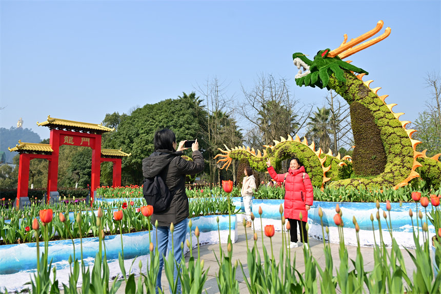 重慶南山植物園，市民游客前來(lái)賞花踏春歡度新春佳節(jié)。郭旭攝