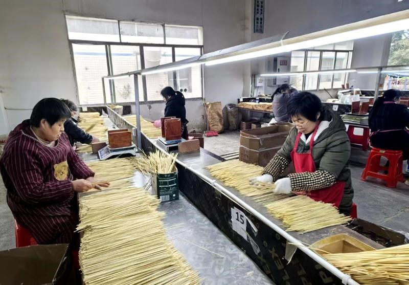 工人進(jìn)行竹簽分揀。黃亞輝攝