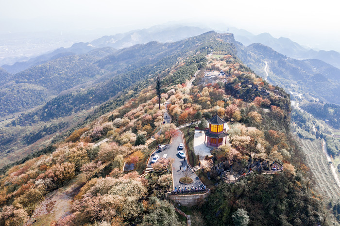 云龜山櫻花。（資料圖）大盛鎮(zhèn)供圖