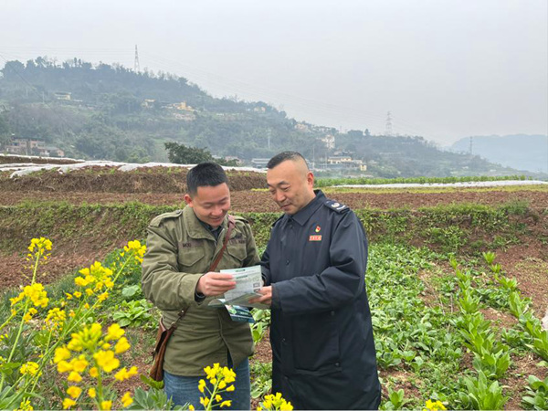 春耕時(shí)節(jié)，巴南區(qū)稅務(wù)人員走訪農(nóng)業(yè)合作社，發(fā)放稅費(fèi)政策宣傳手冊(cè)，面對(duì)面答疑解惑。蒙賽攝
