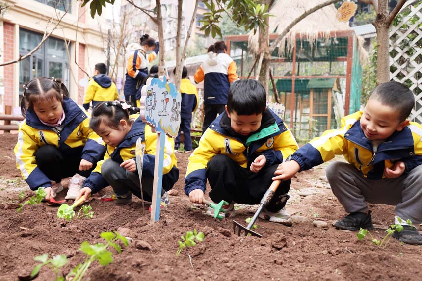 親手種下菜苗。朝陽幼教集團(tuán)供圖