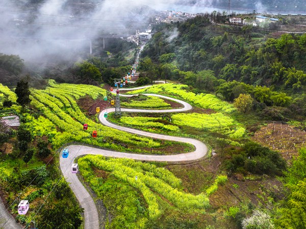 紅酒小鎮(zhèn)推出坐索道去春游。景區(qū)供圖