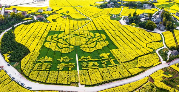 墊江油菜花。墊江縣文旅委供圖