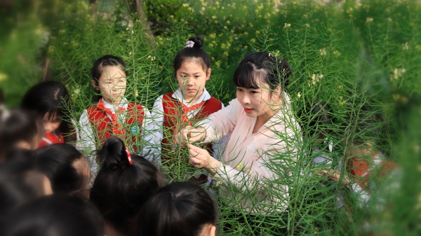 學(xué)生在實踐基地學(xué)習(xí)油菜花的相關(guān)知識。萬盛經(jīng)開區(qū)福耀實驗學(xué)校供圖