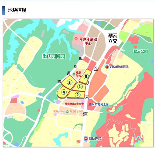 園博園片區(qū)目前地塊控規(guī)圖。推介方供圖