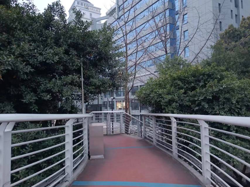 人行天橋上樹枝遮擋了路燈。網(wǎng)友供圖