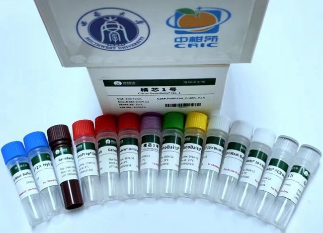 “橘芯1號”柑橘液相育種芯片。受訪者供圖