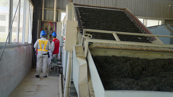 國家電網(wǎng)紅巖（秀山潤德）共產(chǎn)黨員服務(wù)隊隊員在秀山縣平馬猛董聯(lián)合茶葉加工廠檢查用電設(shè)備。萬雪蓮攝