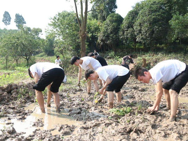 學(xué)校智能制造學(xué)院開展“三下鄉(xiāng)”種空心菜助農(nóng)實(shí)踐活動。重慶工貿(mào)職業(yè)技術(shù)學(xué)院供圖