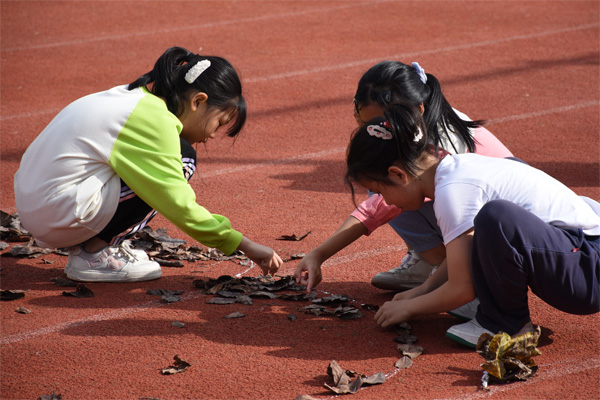 制作大地景觀。西南大學(xué)供圖