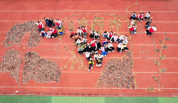 落葉景觀。西南大學(xué)供圖