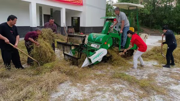 巴南：干群協(xié)力豐收忙 集體經(jīng)濟增收益