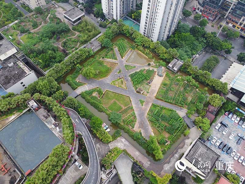 “樓頂農(nóng)場”位于30余米高的樓頂。 人民網(wǎng)記者 劉祎攝