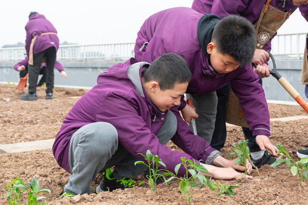 種植課程。南開兩江中學供圖