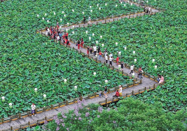 旅客在“荷月江岸”生態(tài)荷塘打卡游玩。華鎣市融媒體中心供圖