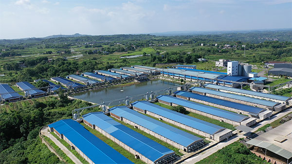 重慶萬源禽蛋食品有限公司全貌。曾英豪 攝