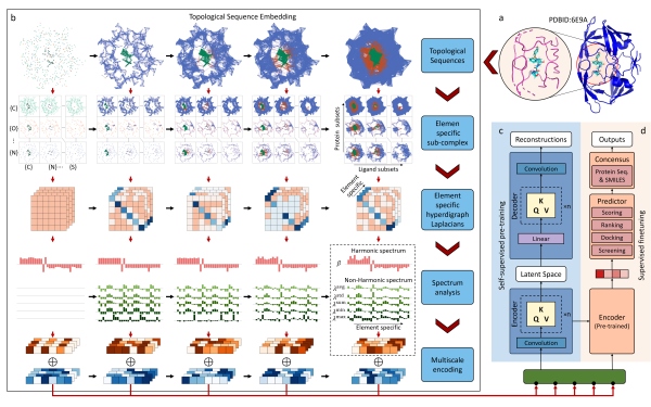 拓撲大語言模型示意圖。重慶理工大學(xué)供圖