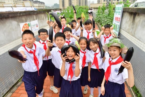 天臺(tái)寶貝勞動(dòng)課堂收獲瞬間。天臺(tái)崗小學(xué)供圖