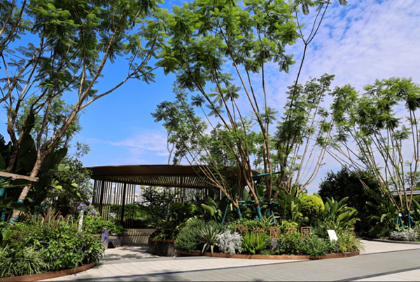 中綠江州實拍圖，拍攝于2024年5月。中國綠發(fā)重慶公司供圖