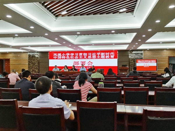 主題黨日。武隆區(qū)鳳溪小學(xué)供圖