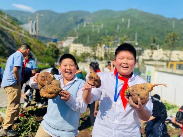 紅薯的前世今生。武隆區(qū)鳳溪小學(xué)供圖