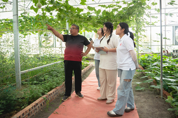 張海濤向實踐團介紹葫蘆種植。重慶理工大學供圖