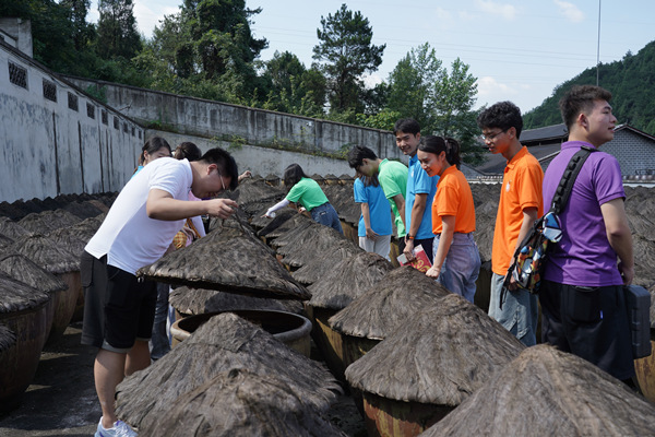 參觀醬油曬場。重慶理工大學(xué)供圖