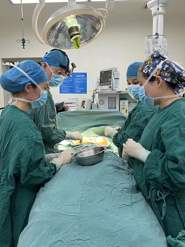 單磊（左二）與團隊正在手術中。重慶兩江新區(qū)人民醫(yī)院供圖