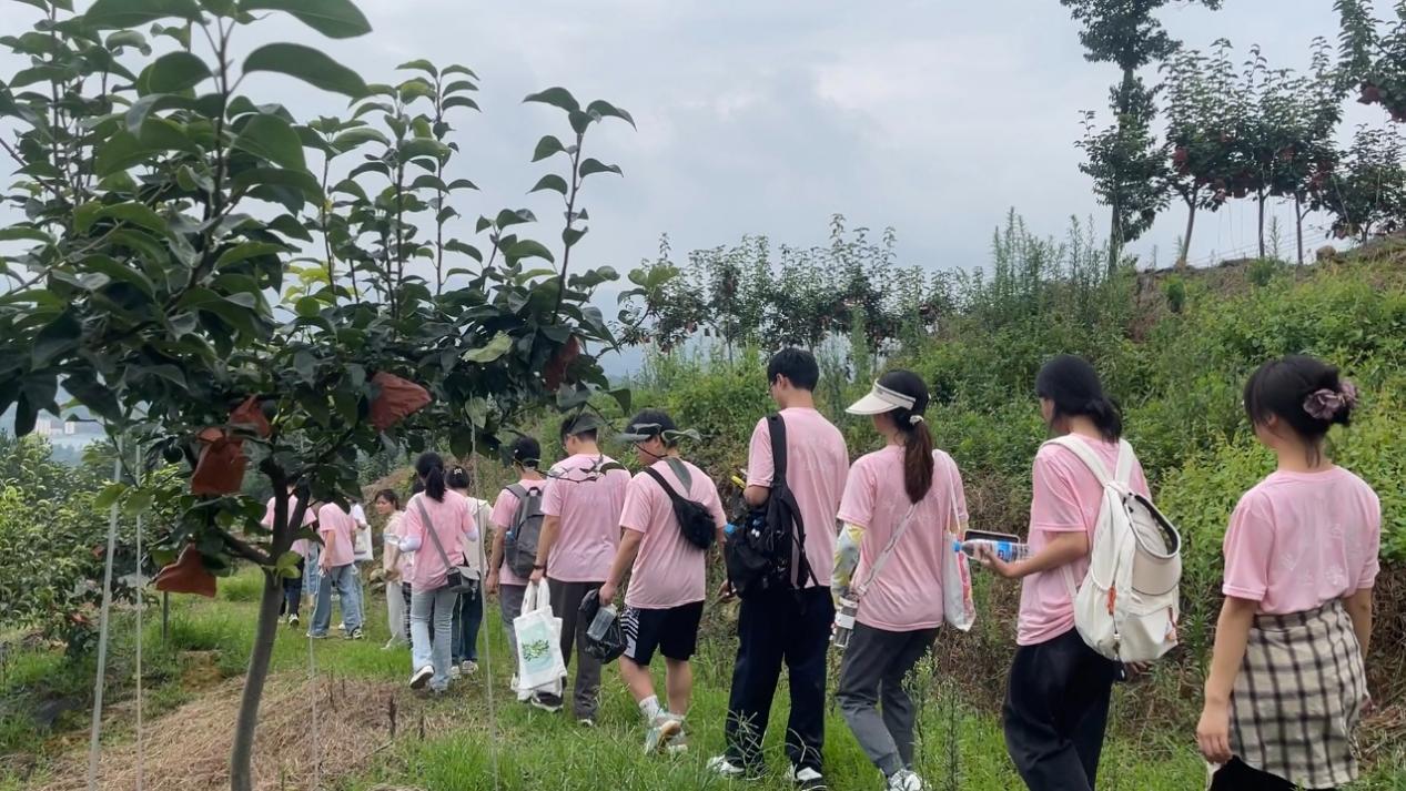 實(shí)踐團(tuán)成員們走訪村莊。重慶財(cái)經(jīng)學(xué)院供圖