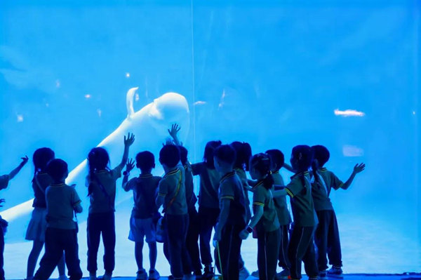 白鯨與小朋友們互動(dòng)。融創(chuàng)海世界供圖