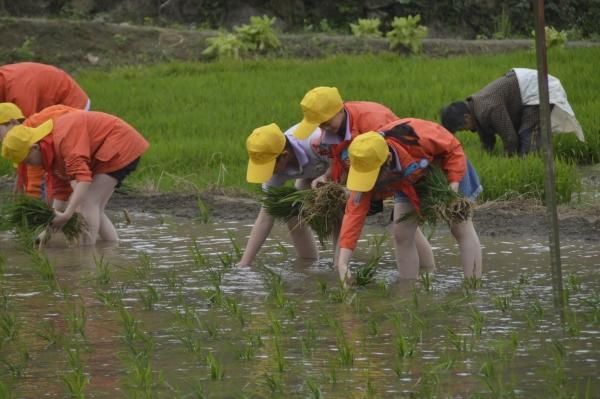 勞育課程。重慶市南川區(qū)隆化第五小學(xué)校供圖