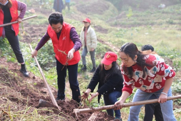 黨總支組織開展扶農(nóng)助農(nóng)活動。合川區(qū)高陽小學