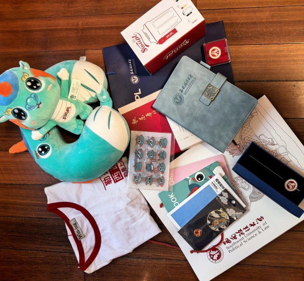 林維一行給陳婧菲送去文創(chuàng)禮物。受訪者供圖