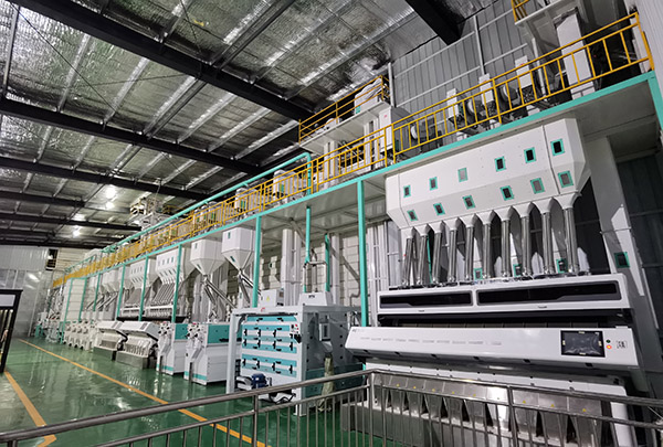 企業(yè)生產車間。農發(fā)行重慶市分行供圖