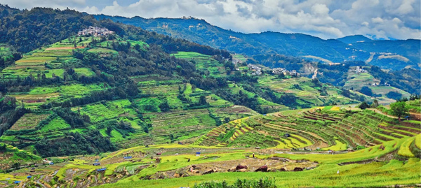 臘姑梯田。重慶大學(xué)供圖