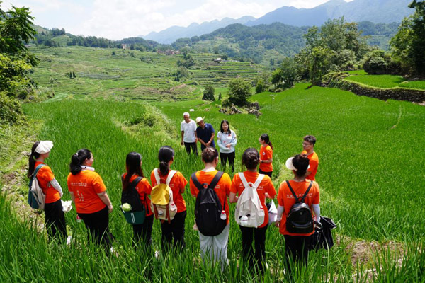 實(shí)踐團(tuán)在花田梯田開展農(nóng)業(yè)調(diào)研。西南政法大學(xué)供圖