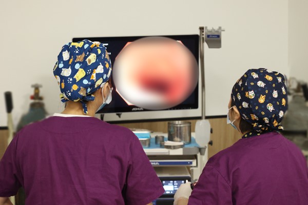 護(hù)士為患者做腸鏡檢查。重慶東大肛腸醫(yī)院供圖