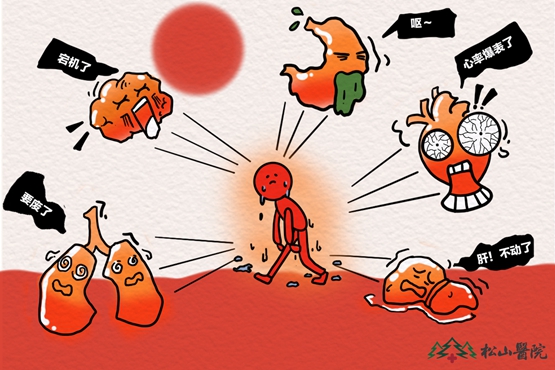 熱射病可能引發(fā)的多器官受損。重慶松山醫(yī)院供圖