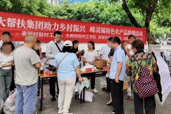 駐村干部開展駐地農(nóng)特產(chǎn)品幫扶銷售。平安人壽重慶分公司供圖