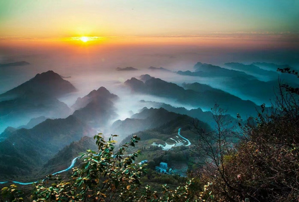 云端車田。受訪單位供圖