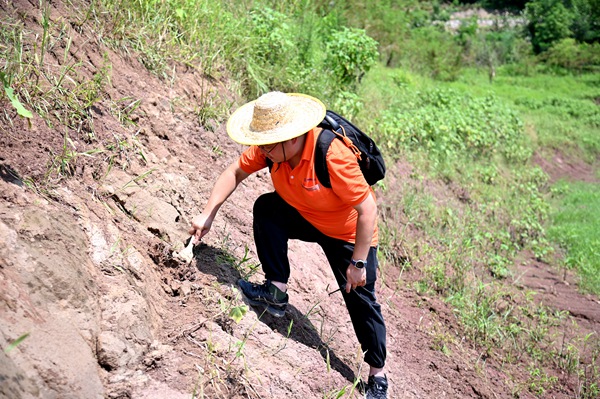 《地災(zāi)防治工作一刻不能停歇》。8月6日，氣溫較高，107地質(zhì)隊地質(zhì)工程師黃元君仍奮戰(zhàn)在萬州區(qū)武陵鎮(zhèn)，在消落帶沿線測量巖壁的節(jié)理裂隙產(chǎn)狀。地災(zāi)防治工作一刻不能停歇，氣溫雖高，地質(zhì)工程師們卻克服困難，奮戰(zhàn)在山野之間。傅林?jǐn)z