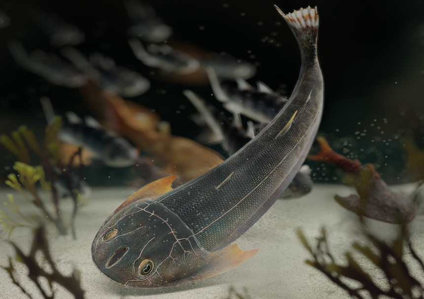 雙叉苗家魚生態(tài)復(fù)原圖，背景為重慶特異埋藏化石庫(kù)奇跡秀山魚、蠕紋沈氏棘魚和靈動(dòng)土家魚（擬石科技制圖）。重慶市規(guī)劃和自然資源局供圖